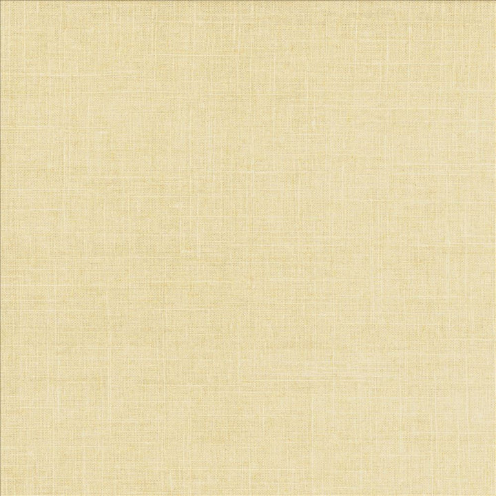 Brigadoon Dune by Kasmir Designer Fabric 5048 55% Linen
45% Rayon
 CHINA </p><p>Repeat: Horizontal: N/A and Vertical: N/A 54 - 55 - Swanky Fabrics -