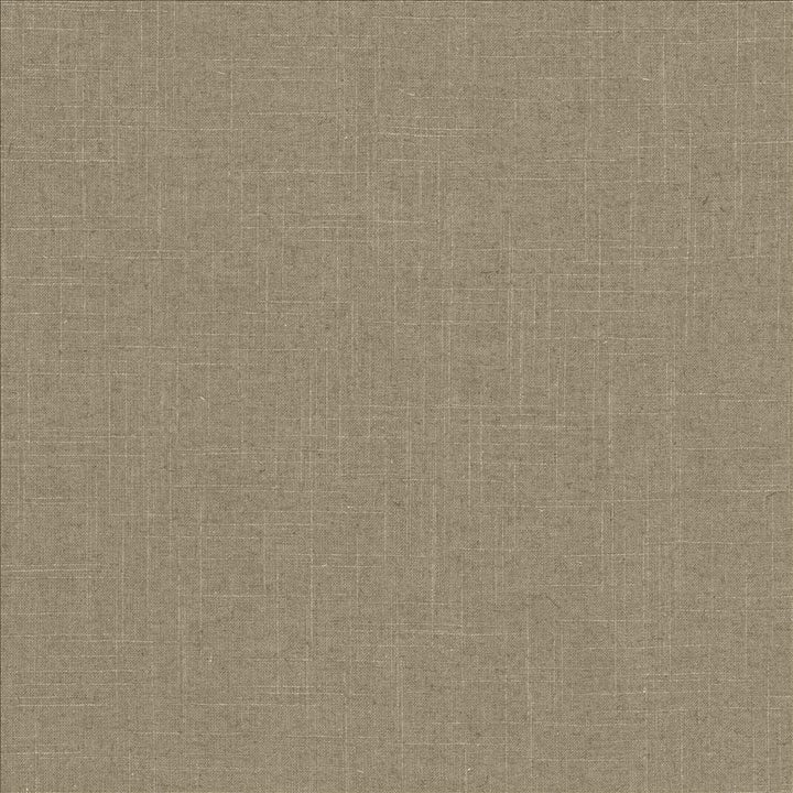 Brigadoon Iron by Kasmir Designer Fabric 5048 55% Linen
45% Rayon
 CHINA </p><p>Repeat: Horizontal: N/A and Vertical: N/A 54 - 55 - Swanky Fabrics -
