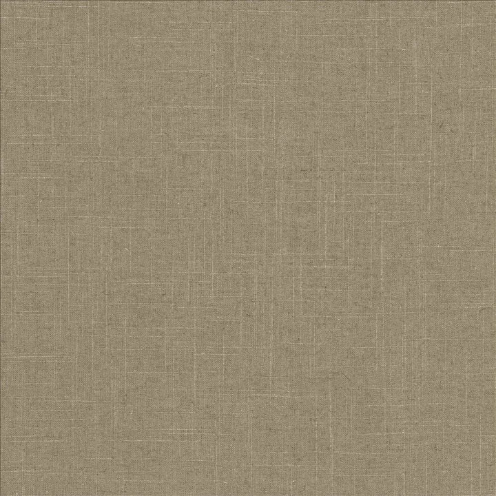 Brigadoon Iron by Kasmir Designer Fabric 5048 55% Linen
45% Rayon
 CHINA 30,000 Wyzenbeek Double Rubs </p><p>Repeat: Horizontal: N/A and Vertical: N/A 54 - Swanky Fabrics -