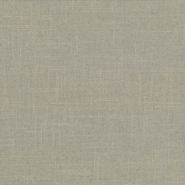 Brigadoon Pebble by Kasmir Designer Fabric 5048 55% Linen 45% Rayon CHINA 12,000 Wyzenbeek Double Rubs Horizontal: 0 Inches and Vertical: 0 Inches 54 - 55 - Swanky Fabrics -