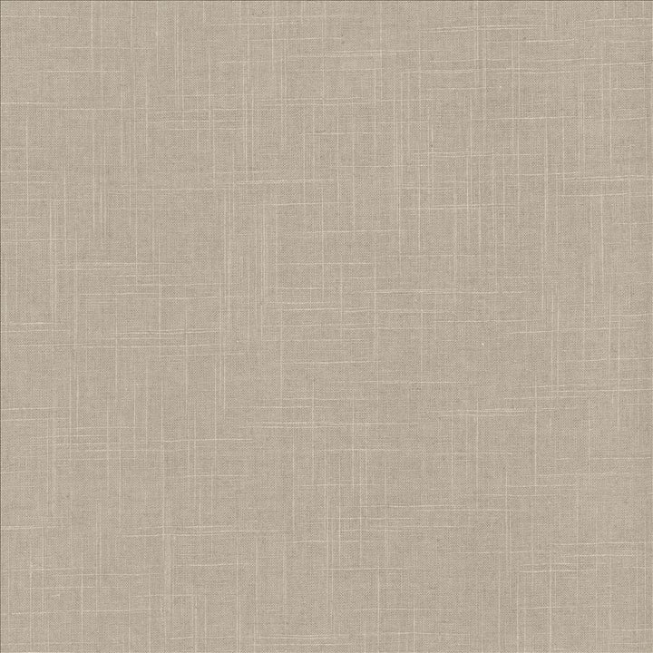 Brigadoon Shadow by Kasmir Designer Fabric 5048 55% Linen
45% Rayon
 CHINA </p><p>Repeat: Horizontal: N/A and Vertical: N/A 54 - 55 - Swanky Fabrics -