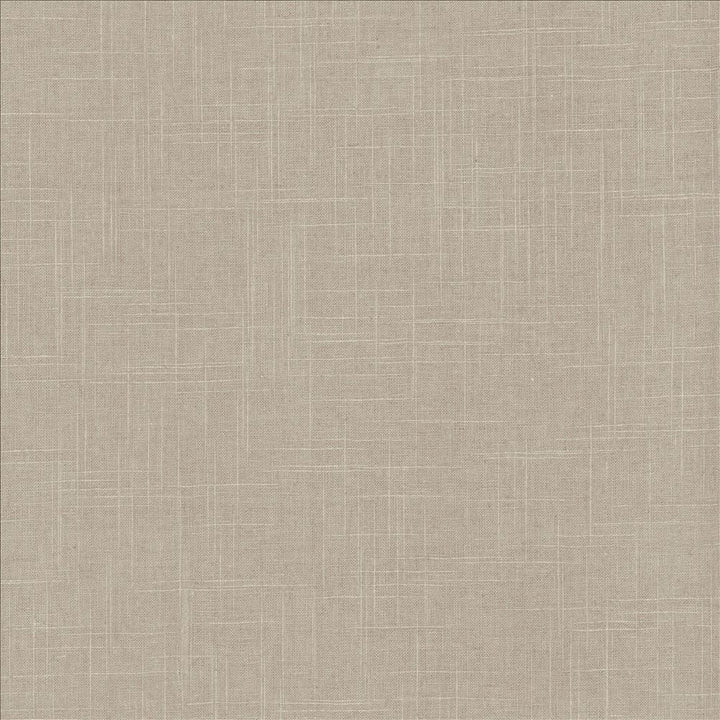 Brigadoon Shadow by Kasmir Designer Fabric 5048 55% Linen
45% Rayon
 CHINA 30,000 Wyzenbeek Double Rubs </p><p>Repeat: Horizontal: N/A and Vertical: N/A 54 - Swanky Fabrics -