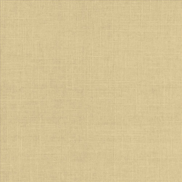 Brigadoon Verbena by Kasmir Designer Fabric 5175 55% Linen
45% Rayon
 CHINA </p><p>Repeat: Horizontal: N/A and Vertical: N/A 54 - 55 - Swanky Fabrics -
