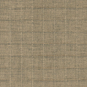 Kasmir Fabric Brinkley Flint