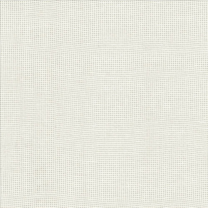 Bruno White by Kasmir Designer Fabric 1459 100% Linen
 POLAND </p><p>Repeat: Horizontal: N/A and Vertical: N/A 55 - Swanky Fabrics -