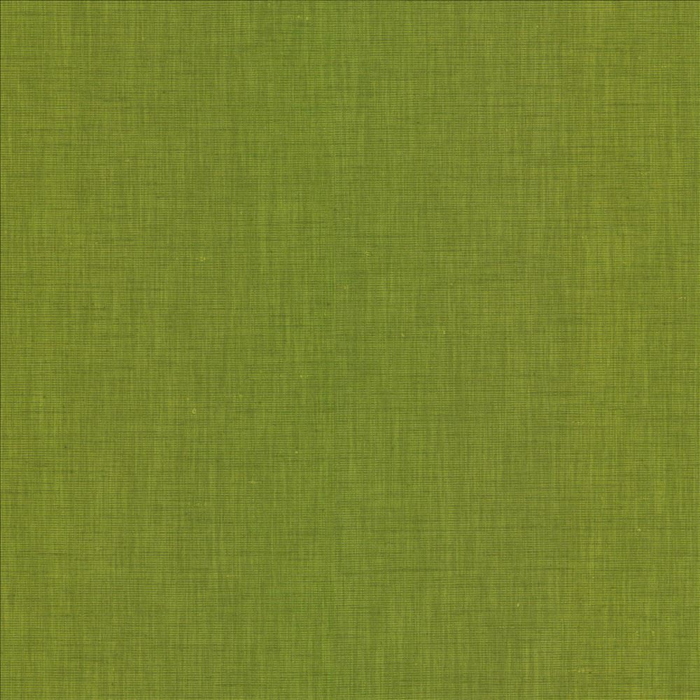 Brussels Grass by Kasmir Designer Fabric 5117 83% Polyester
17% Cotton
 INDIA </p><p>Repeat: Horizontal: N/A and Vertical: N/A 54 - Swanky Fabrics -