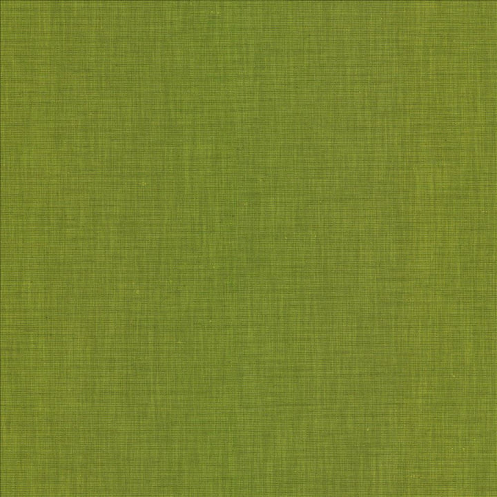 Brussels Grass by Kasmir Designer Fabric See sample 83% Polyester
17% Cotton
 INDIA 10,000 Martindale Cycles </p><p>Repeat: Horizontal: N/A and Vertical: N/A 54 - Swanky Fabrics -