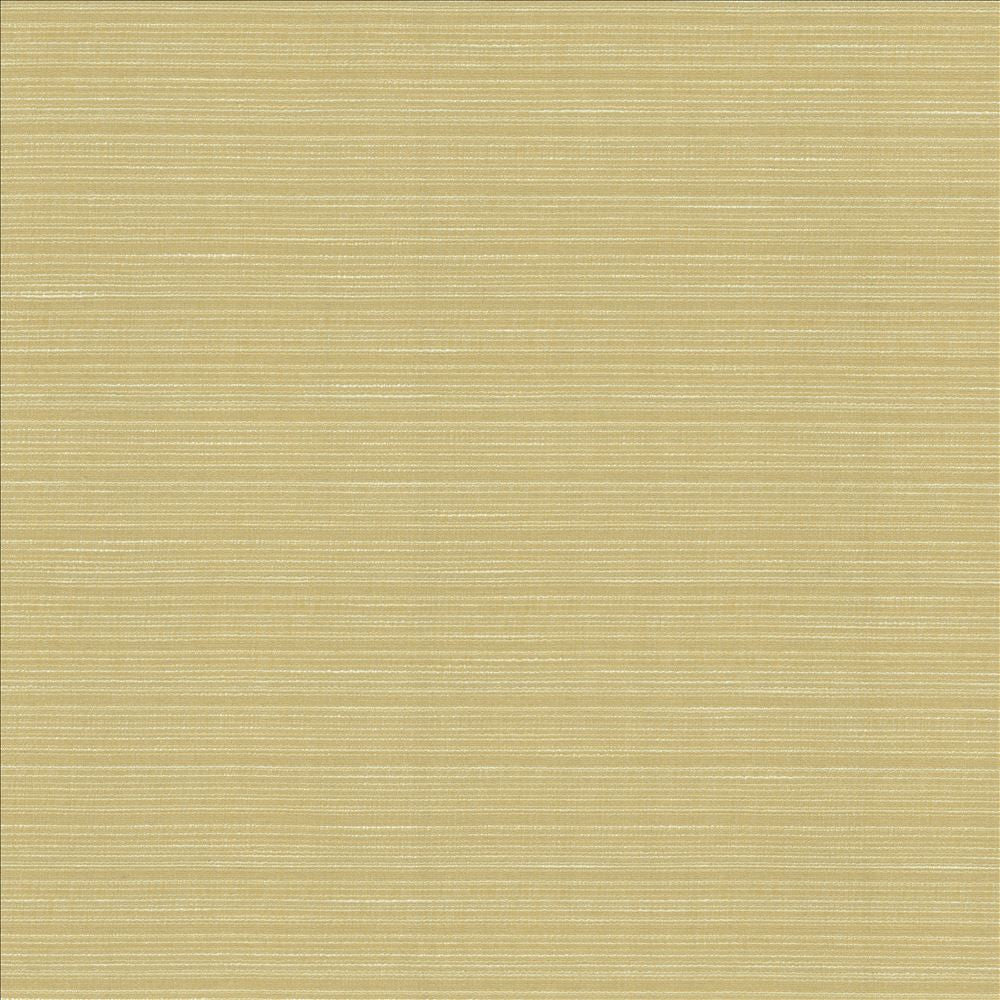 Burke Beeswax  by Kasmir Designer Fabric 5163 100% Polyester
 INDIA Not Tested Horizontal: N/A and Vertical: N/A 54  - Swanky Fabrics -