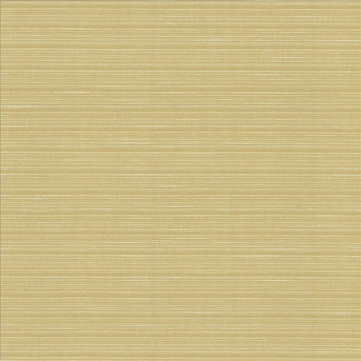 Burke Beeswax  by Kasmir Designer Fabric 5163 100% Polyester
 INDIA Not Tested Horizontal: N/A and Vertical: N/A 54  - Swanky Fabrics -