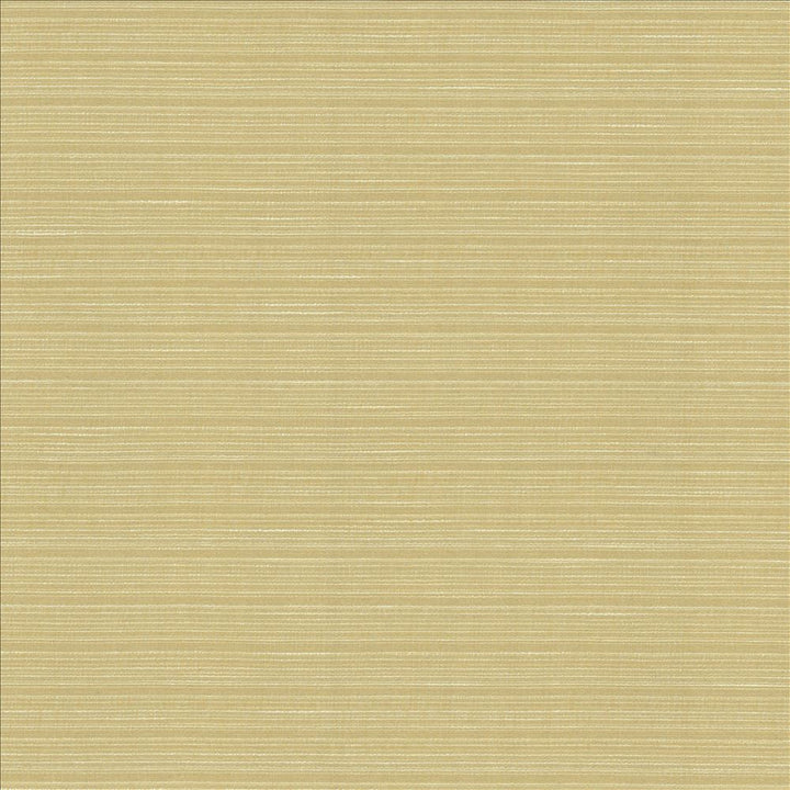 Burke Beeswax by Kasmir Designer Fabric 5163 100% Polyester
 INDIA Not Tested </p><p>Repeat: Horizontal: N/A and Vertical: N/A 54 - Swanky Fabrics -