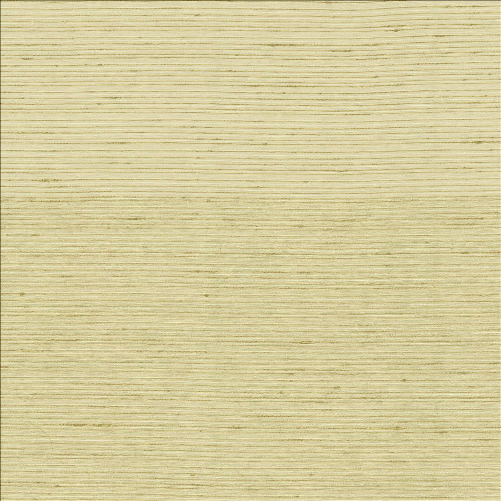 Burke Cotton by Kasmir Designer Fabric 5163 100% Polyester
 INDIA </p><p>Repeat: Horizontal: N/A and Vertical: N/A 54 - Swanky Fabrics -