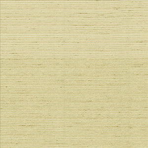 Kasmir Fabric Burke Cotton