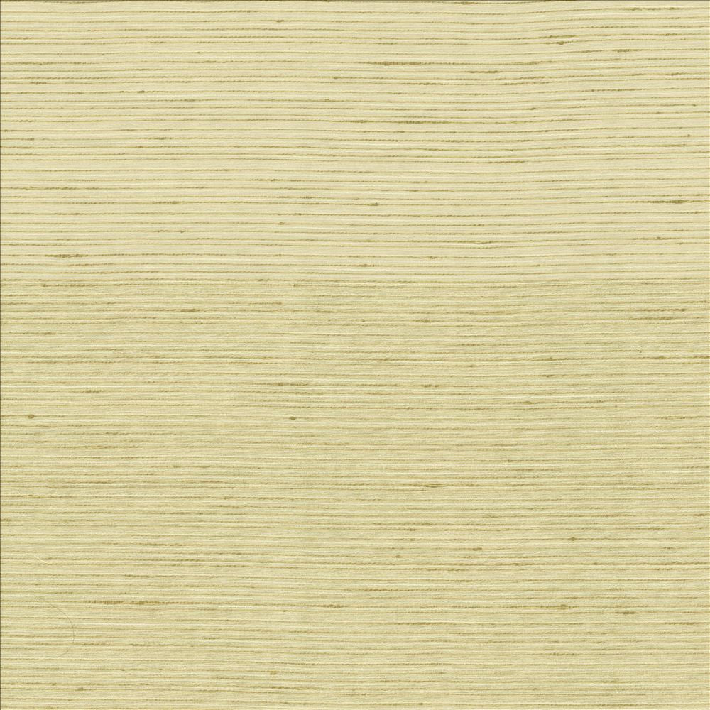 Burke Cotton by Kasmir Designer Fabric 5163 100% Polyester
 INDIA Not Tested </p><p>Repeat: Horizontal: N/A and Vertical: N/A 54 - Swanky Fabrics -