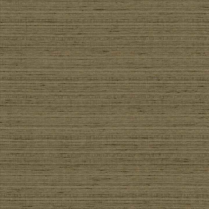 Burke Mineral by Kasmir Designer Fabric 5163 100% Polyester
 INDIA Not Tested </p><p>Repeat: Horizontal: N/A and Vertical: N/A 54 - Swanky Fabrics -
