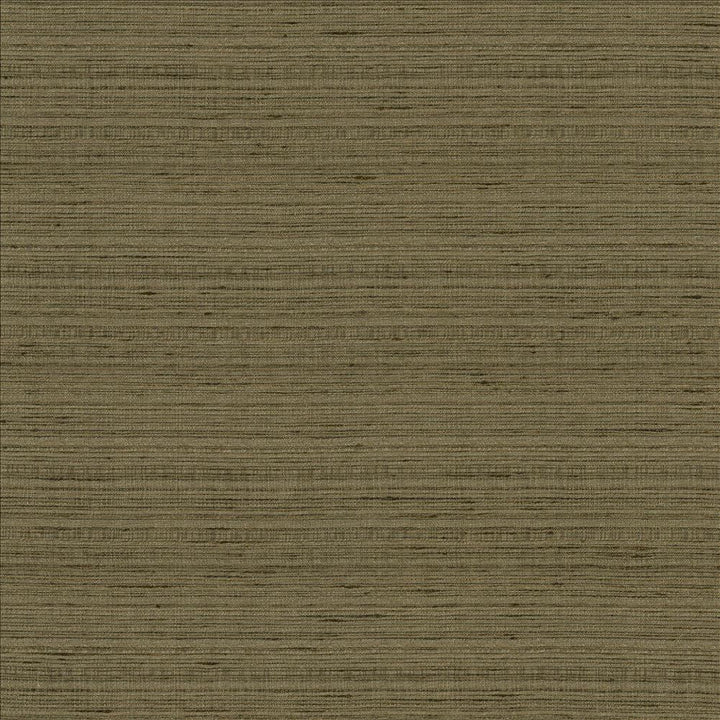 Burke Mineral  by Kasmir Designer Fabric 5163 100% Polyester
 INDIA Not Tested Horizontal: N/A and Vertical: N/A 54  - Swanky Fabrics -