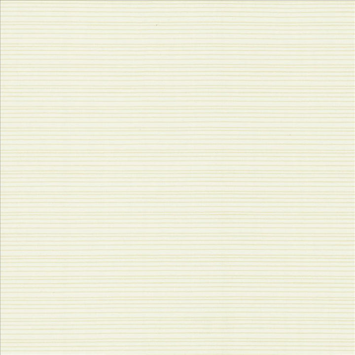 Burke Sea Salt by Kasmir Designer Fabric 5163 100% Polyester
 INDIA Not Tested </p><p>Repeat: Horizontal: N/A and Vertical: N/A 54 - Swanky Fabrics -