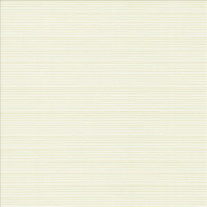 Kasmir Fabric Burke Sea Salt
