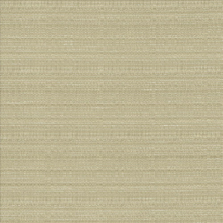 Burke Silt by Kasmir Designer Fabric See sample 100% Polyester
 INDIA Not Tested </p><p>Repeat: Horizontal: N/A and Vertical: N/A 54 - Swanky Fabrics -
