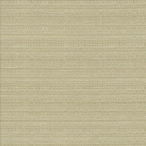 Kasmir Fabric Burke Silt