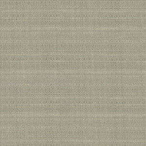 Kasmir Fabric Burke Sterling