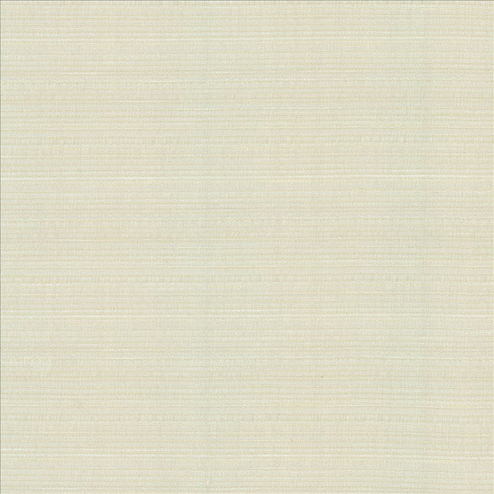 Burke Winter  by Kasmir Designer Fabric 5163 100% Polyester
 INDIA Not Tested Horizontal: N/A and Vertical: N/A 54  - Swanky Fabrics -