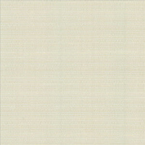 Kasmir Fabric Burke Winter