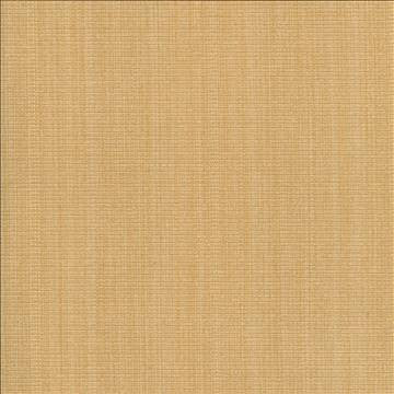 Burnet Butter by Kasmir Designer Fabric 5069 52% Cotton 31% Polyester 17% Rayon CHINA 60,000 Wyzenbeek Double Rubs H: N/A, V: N/A 58 - Swanky Fabrics - Kasmir