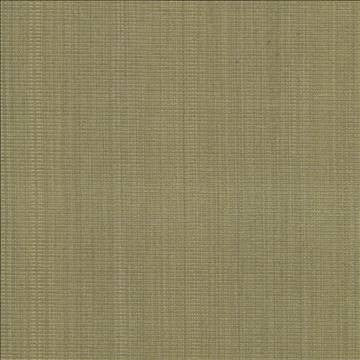 Burnet Celery by Kasmir Designer Fabric 5074 52% Cotton 31% Polyester 17% Rayon CHINA 60,000 Wyzenbeek Double Rubs H: N/A, V: N/A 58 - Swanky Fabrics - Kasmir