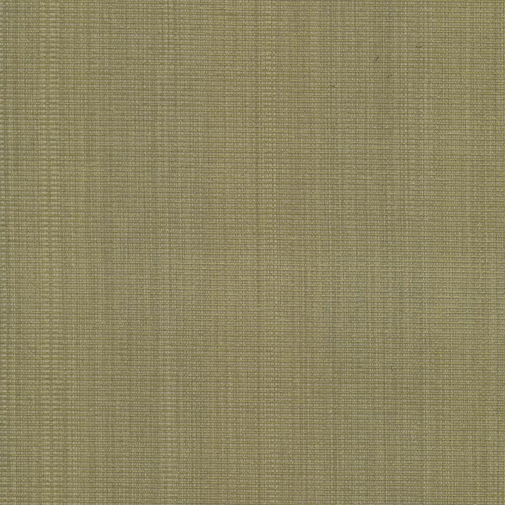 Burnet Celery by Kasmir Designer Fabric 5074 52% Cotton
31% Polyester
17% Rayon
 CHINA </p><p>Repeat: Horizontal: N/A and Vertical: N/A 58 - Swanky Fabrics -