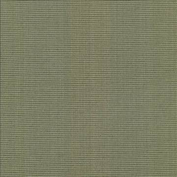 Burnet Sage by Kasmir Designer Fabric 5074 52% Cotton 31% Polyester 17% Rayon CHINA 60,000 Wyzenbeek Double Rubs H: N/A, V: N/A 58 - Swanky Fabrics - Kasmir