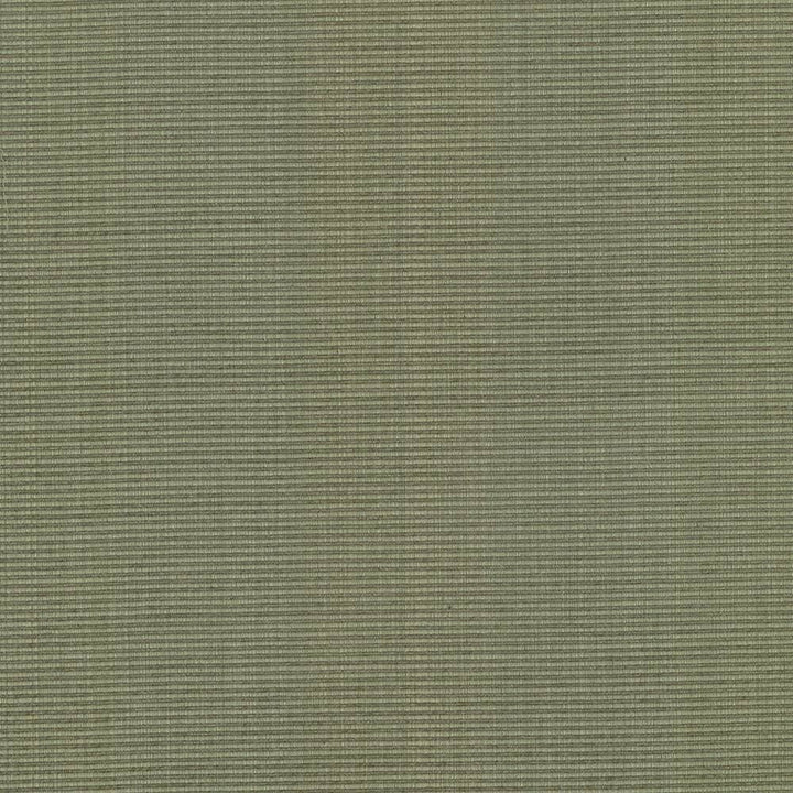 Burnet Sage by Kasmir Designer Fabric 5074 52% Cotton
31% Polyester
17% Rayon
 CHINA </p><p>Repeat: Horizontal: N/A and Vertical: N/A 58 - Swanky Fabrics -