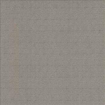 Burundi Pewter by Kasmir Designer Fabric 5100 100% Polyester CHINA 15,000 Wyzenbeek Double Rubs H: 1 2/8 inches, V: 2 inches 55 - 56 - Swanky Fabrics - Kasmir