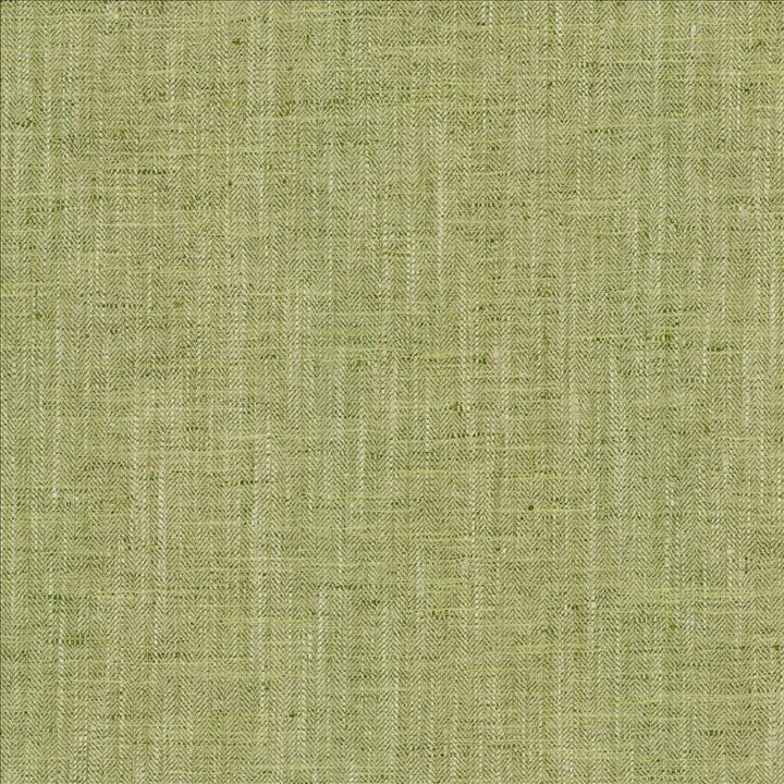 By A Mile Grass by Kasmir Designer Fabric 5162 100% Polyester
 INDIA </p><p>Repeat: Horizontal: N/A and Vertical: N/A 54 - Swanky Fabrics -