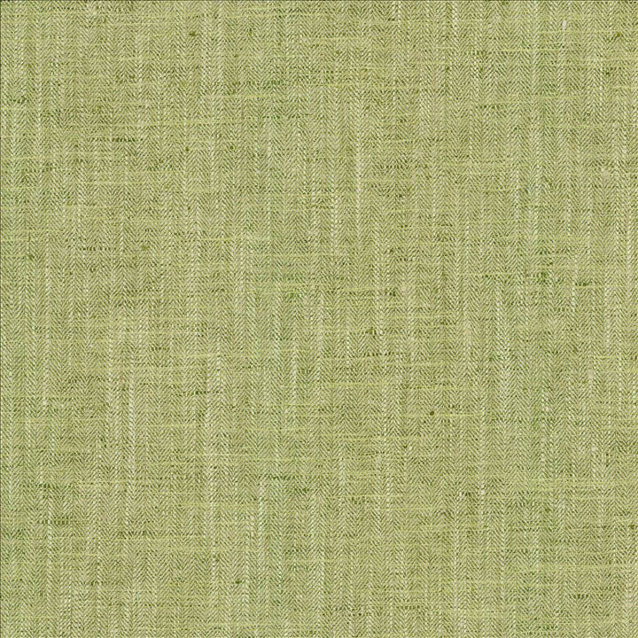 By A Mile Grass by Kasmir Designer Fabric 5162 100% Polyester
 INDIA 51,000 Wyzenbeek Double Rubs </p><p>Repeat: Horizontal: N/A and Vertical: N/A 54 - Swanky Fabrics -