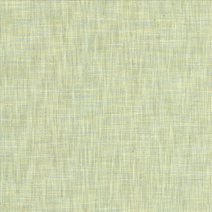 By A Mile Mint Julep by Kasmir Designer Fabric 5162 100% Polyester
 INDIA 51,000 Wyzenbeek Double Rubs </p><p>Repeat: Horizontal: N/A and Vertical: N/A 54 - Swanky Fabrics -