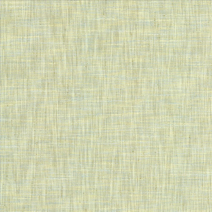 By A Mile Mint Julep by Kasmir Designer Fabric 5162 100% Polyester
 INDIA </p><p>Repeat: Horizontal: N/A and Vertical: N/A 54 - Swanky Fabrics -