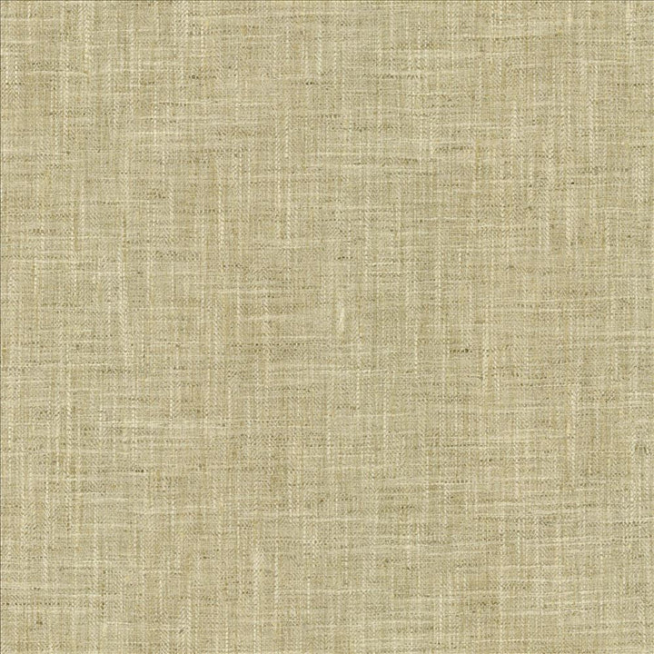 By A Mile Moonstone  by Kasmir Designer Fabric 5162 100% Polyester
 INDIA 51,000 Wyzenbeek Double Rubs Horizontal: N/A and Vertical: N/A 54  - Swanky Fabrics -