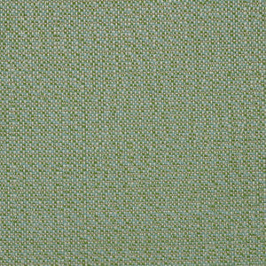 Sunbrella Fabric SAV2 J354 140 Savane Spring