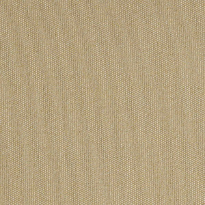Sunbrella Fabric ZOR R060 140 Zori Straw
