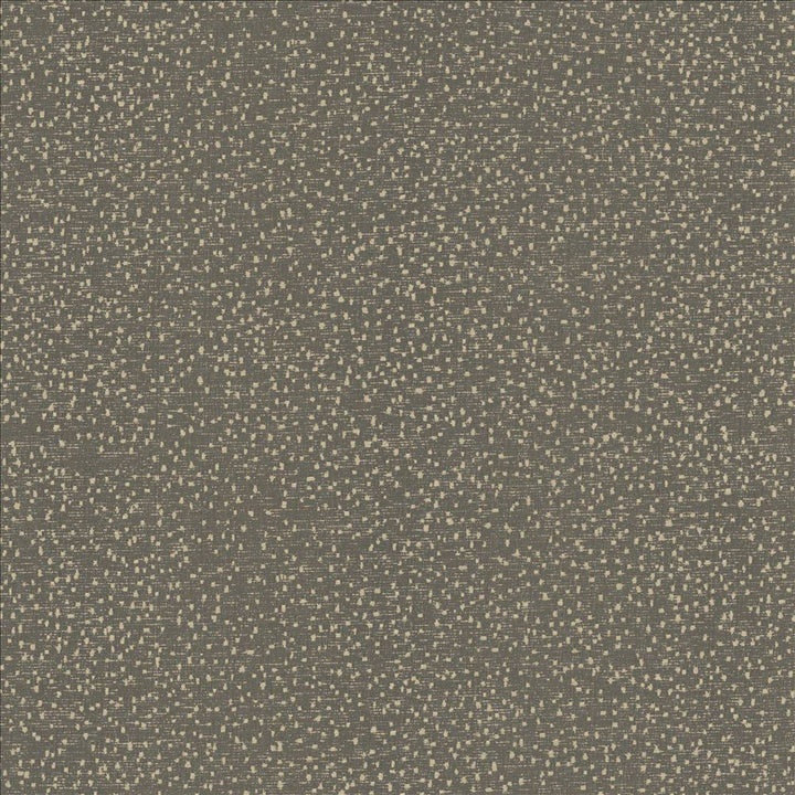 Carissa Charcoal by Kasmir Designer Fabric 1462 100% Polyester
 CHINA 76,000 Wyzenbeek Double Rubs </p><p>Repeat: Horizontal: N/A and Vertical: N/A 56 - Swanky Fabrics -