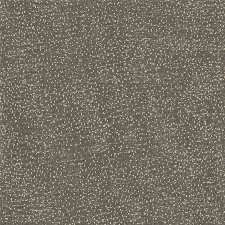 Carissa Charcoal by Kasmir Designer Fabric 1462 100% Polyester
 CHINA </p><p>Repeat: Horizontal: N/A and Vertical: N/A 56 - Swanky Fabrics -