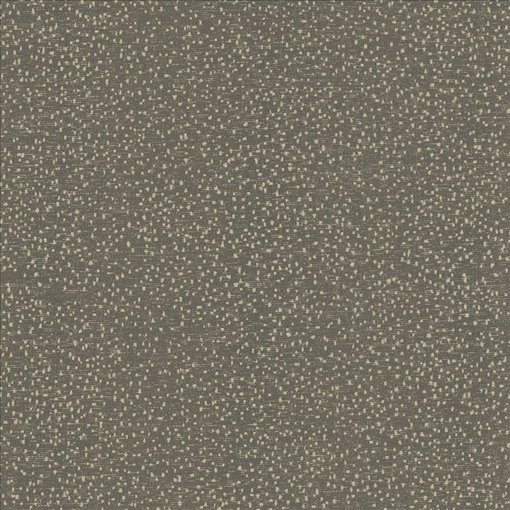 Carissa Charcoal by Kasmir Designer Fabric See sample 100% Polyester
 CHINA 76,000 Wyzenbeek Double Rubs </p><p>Repeat: Horizontal: N/A and Vertical: N/A 56 - Swanky Fabrics -