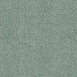 Kasmir Fabric Carissa Mineral