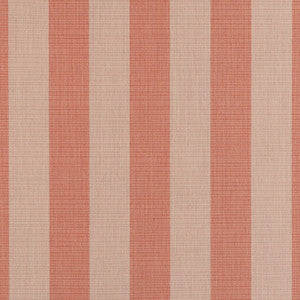 Sunbrella Fabric Expressive Blush 14123-0000