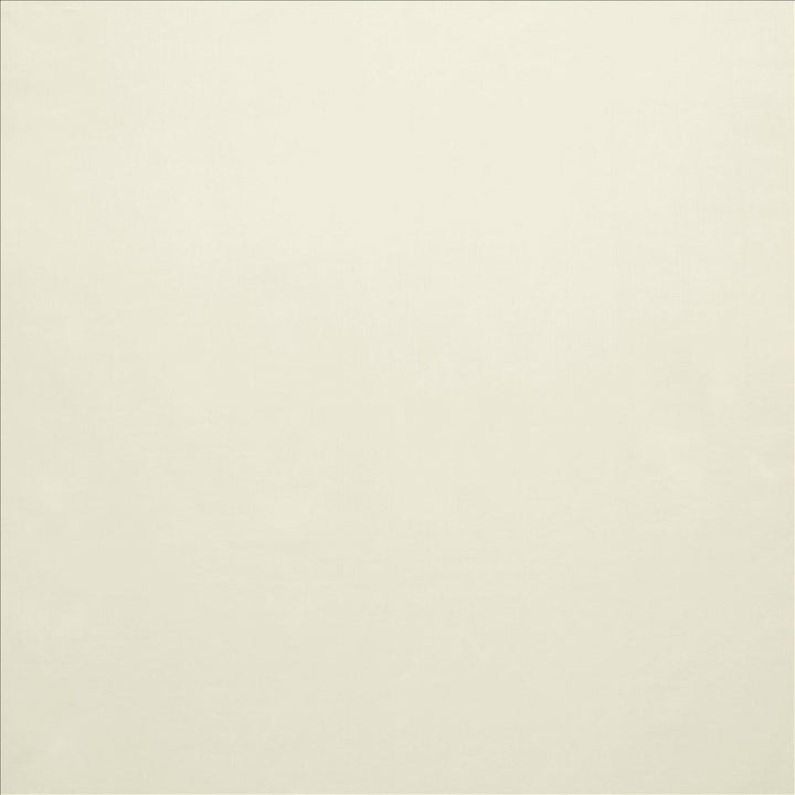 Celine Eggshell by Kasmir Designer Fabric See sample 100% Polyester
 TURKEY Not Tested </p><p>Repeat: Horizontal: N/A and Vertical: N/A 118 - Swanky Fabrics -