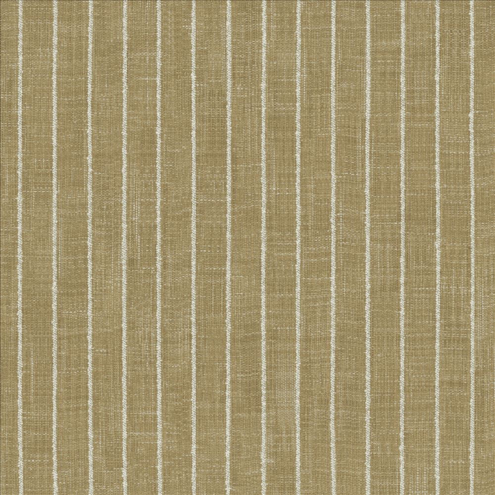 Charismatic Jasmine by Kasmir Designer Fabric 1471 73% Polyester
27% Cotton
 INDIA 20,000 Wyzenbeek Double Rubs </p><p>Repeat: Horizontal: 1 inches and Vertical: N/A 54 - Swanky Fabrics -