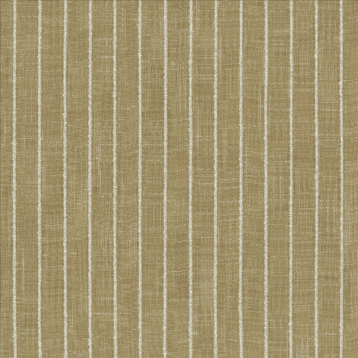 Charismatic Jasmine by Kasmir Designer Fabric 1471 73% Polyester
27% Cotton
 INDIA 20,000 Wyzenbeek Double Rubs </p><p>Repeat: Horizontal: 1 inches and Vertical: N/A 54 - Swanky Fabrics -