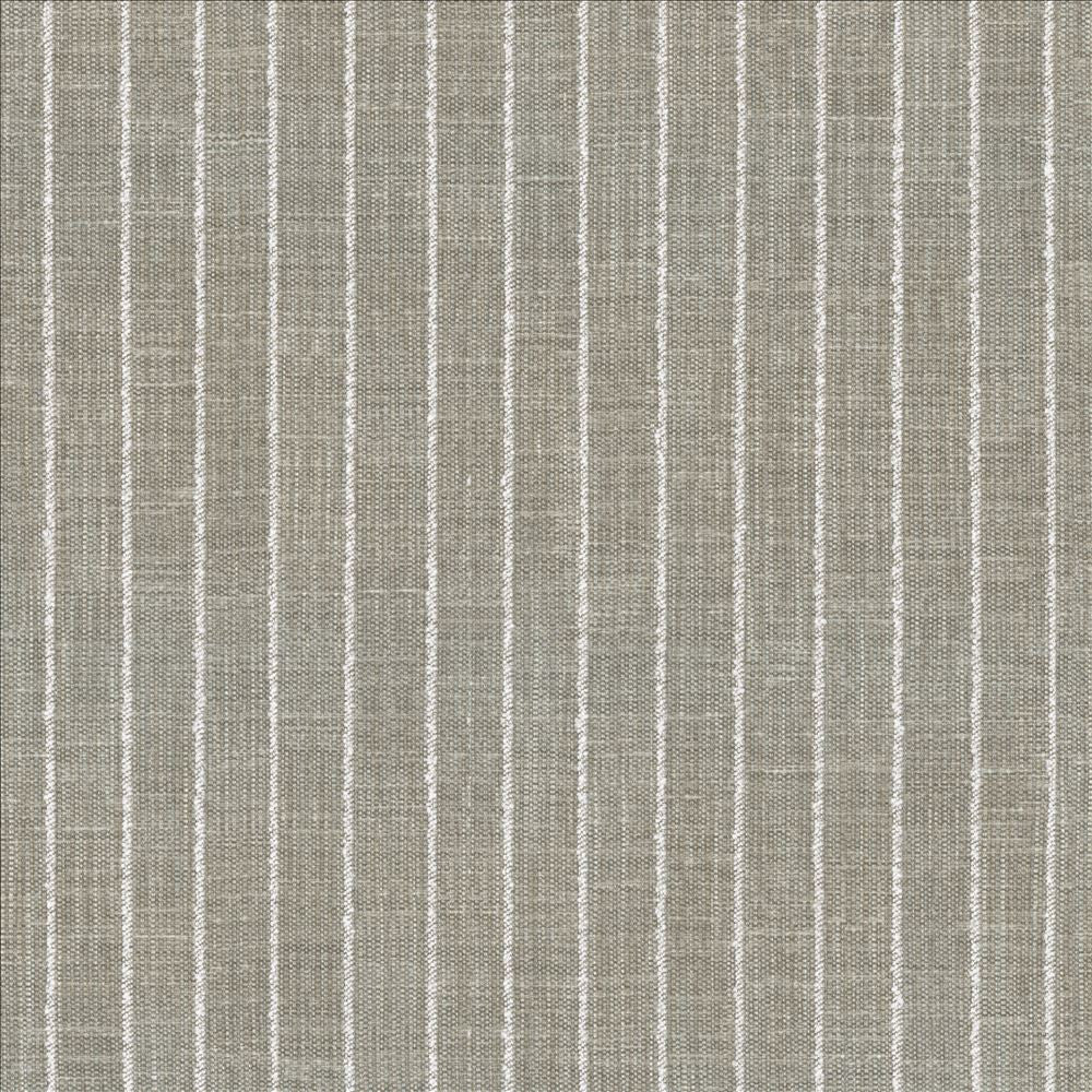Charismatic Platinum by Kasmir Designer Fabric 1471 73% Polyester
27% Cotton
 INDIA 20,000 Wyzenbeek Double Rubs </p><p>Repeat: Horizontal: 1 inches and Vertical: N/A 54 - Swanky Fabrics -