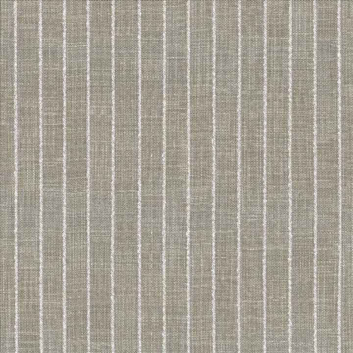 Charismatic Platinum by Kasmir Designer Fabric 1471 73% Polyester
27% Cotton
 INDIA 20,000 Wyzenbeek Double Rubs </p><p>Repeat: Horizontal: 1 inches and Vertical: N/A 54 - Swanky Fabrics -