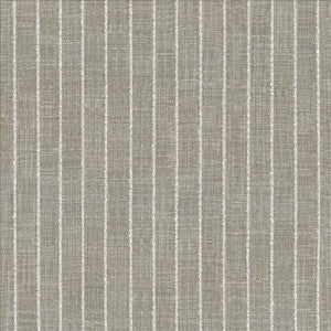 Kasmir Fabric Charismatic Platinum